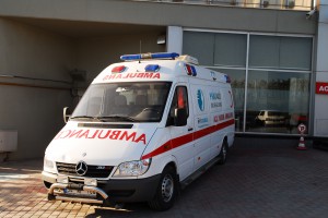 YLZ_1487 YLZ_1487